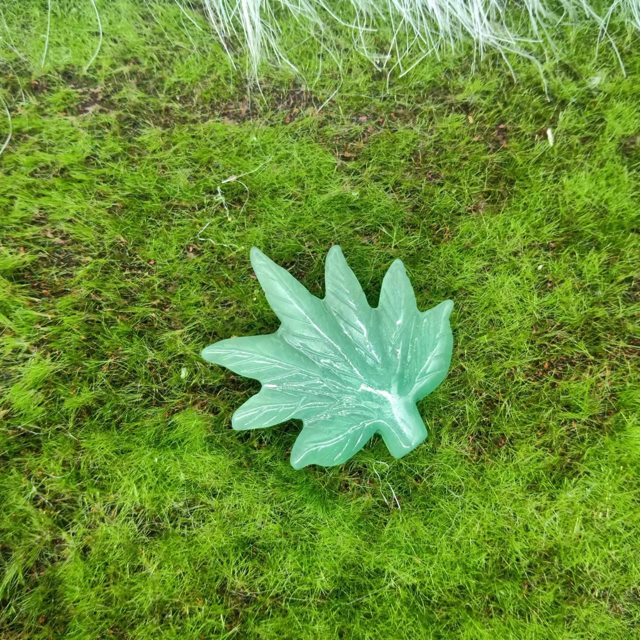maple leaves
