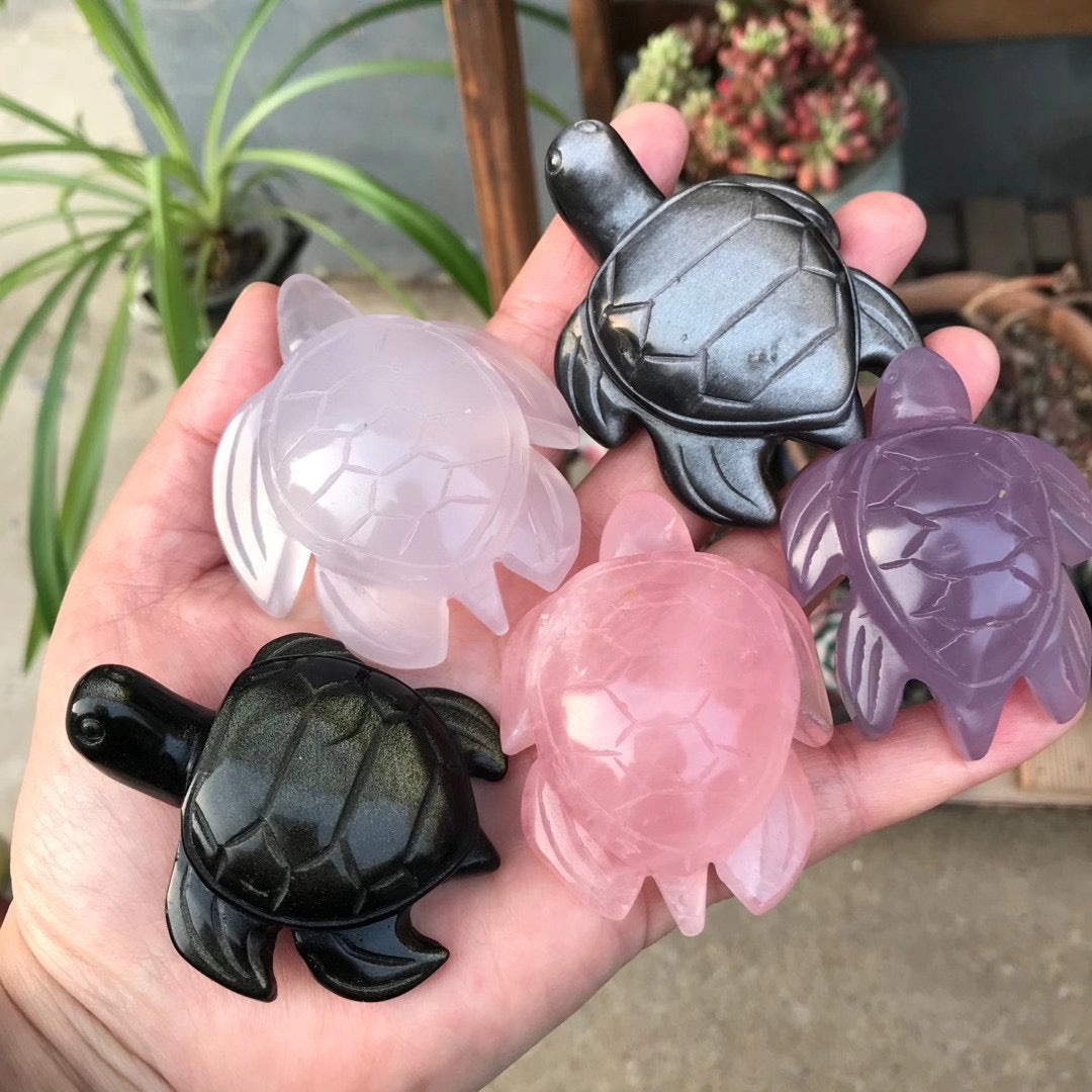 tortoise