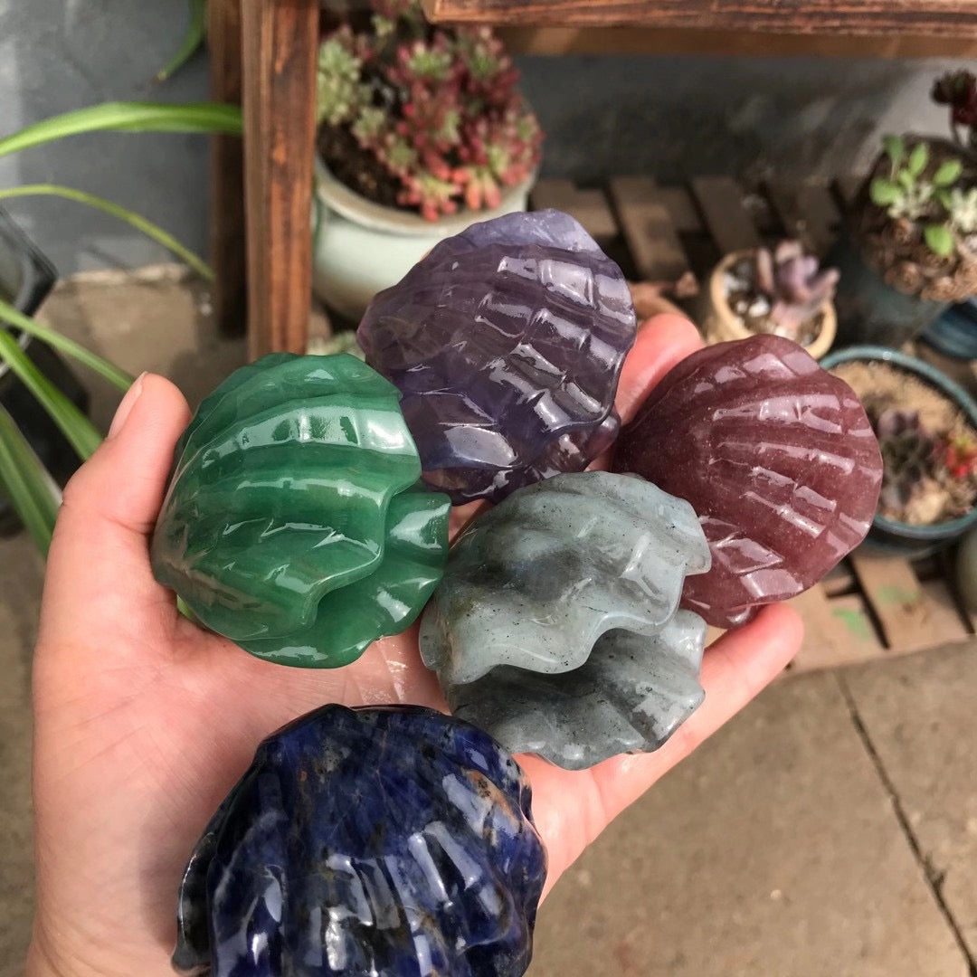 shell