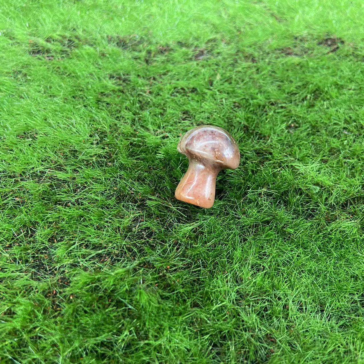 Mushroom