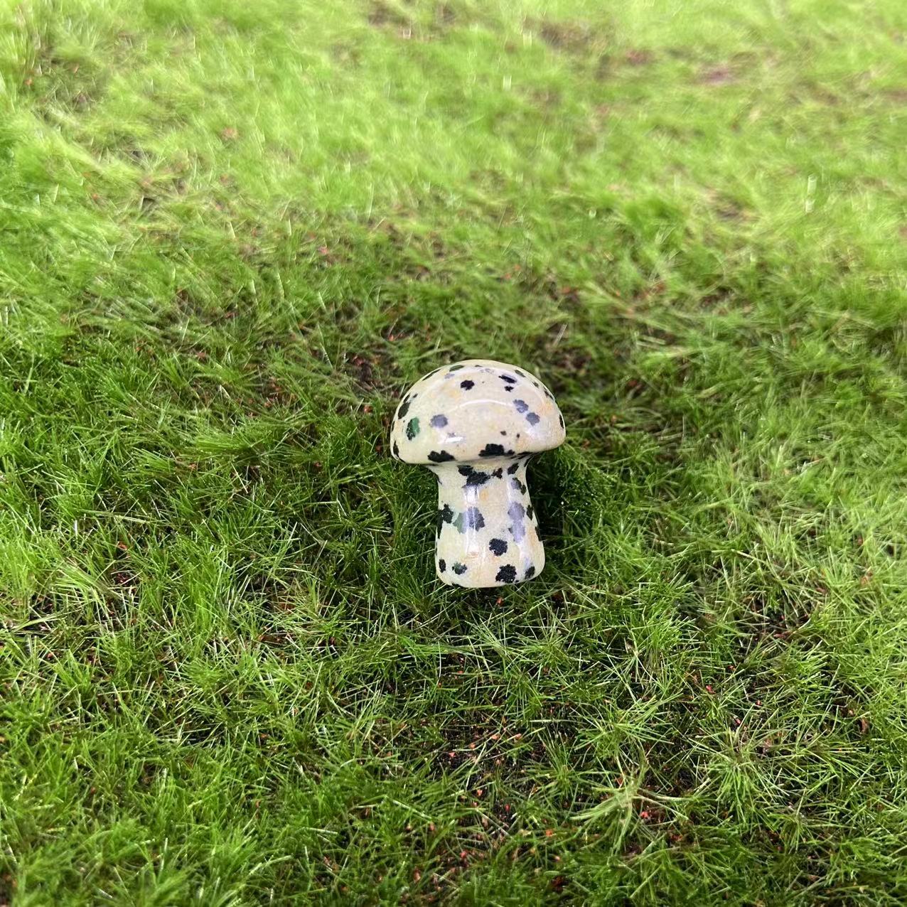 Mushroom