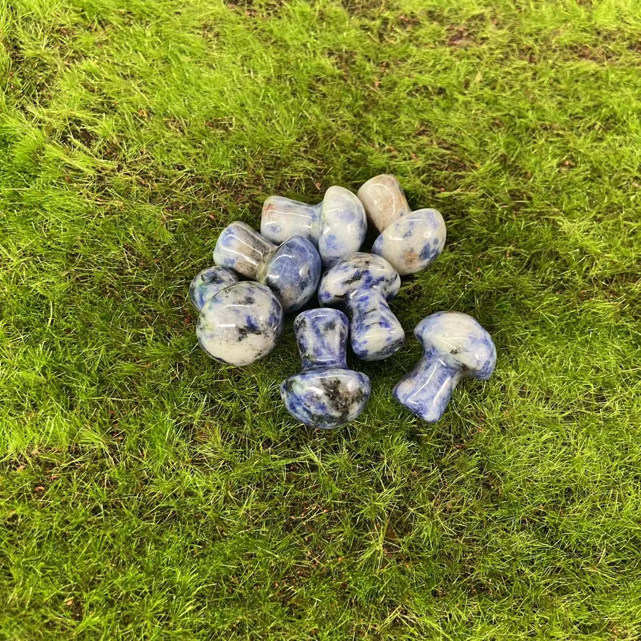 Mushroom