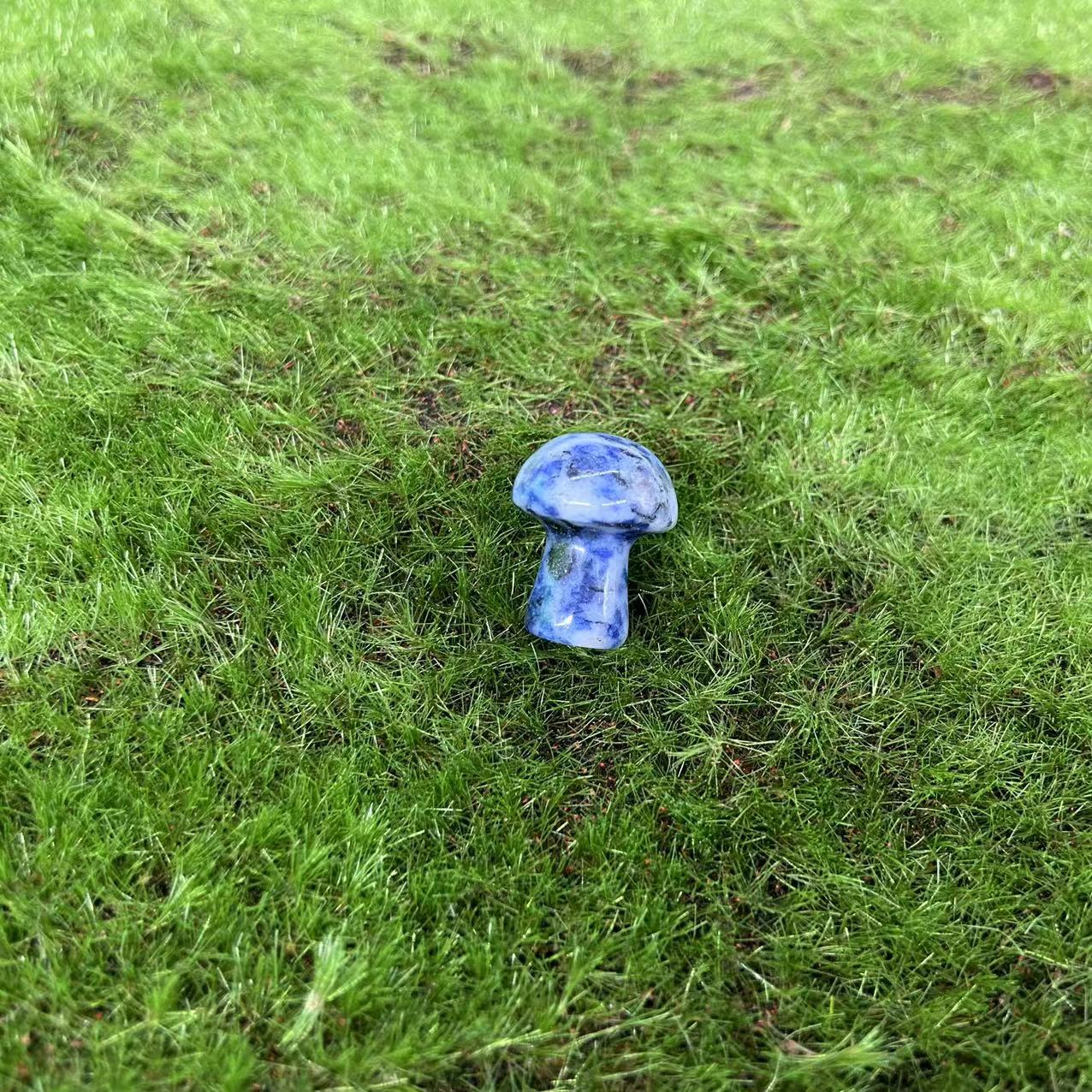Mushroom
