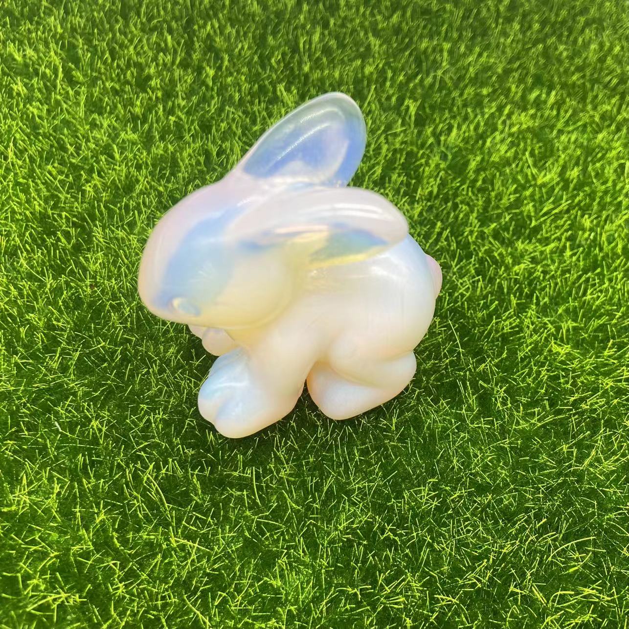 Rabbit