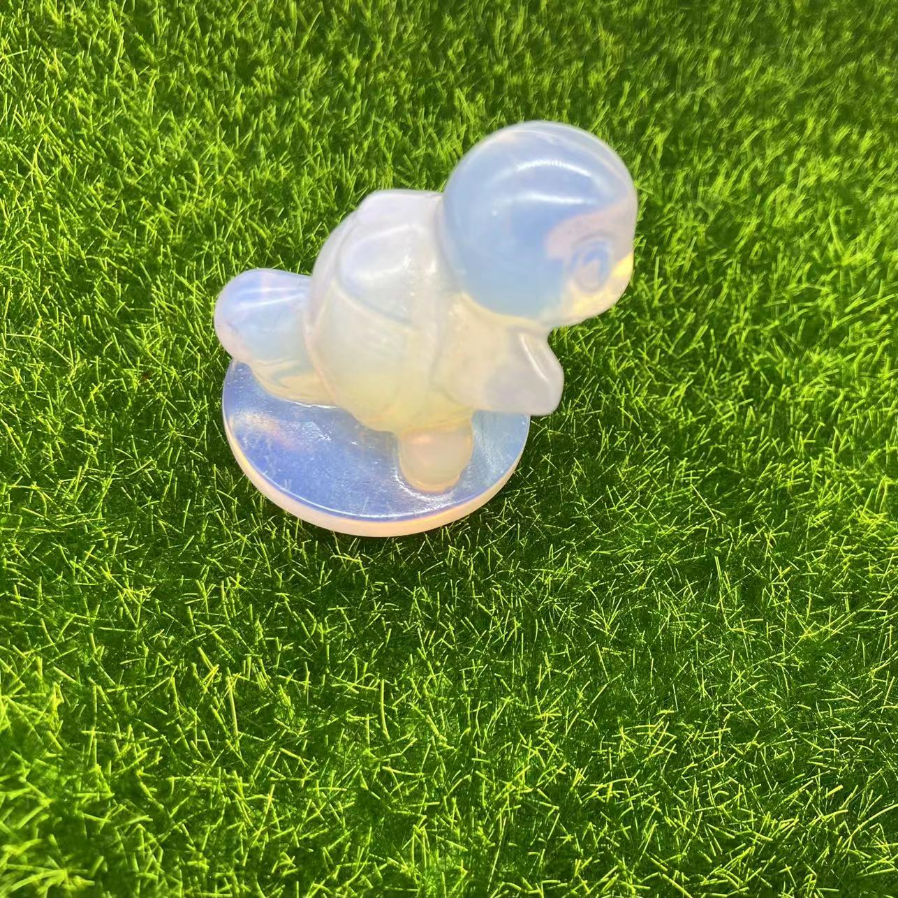 Squirtle