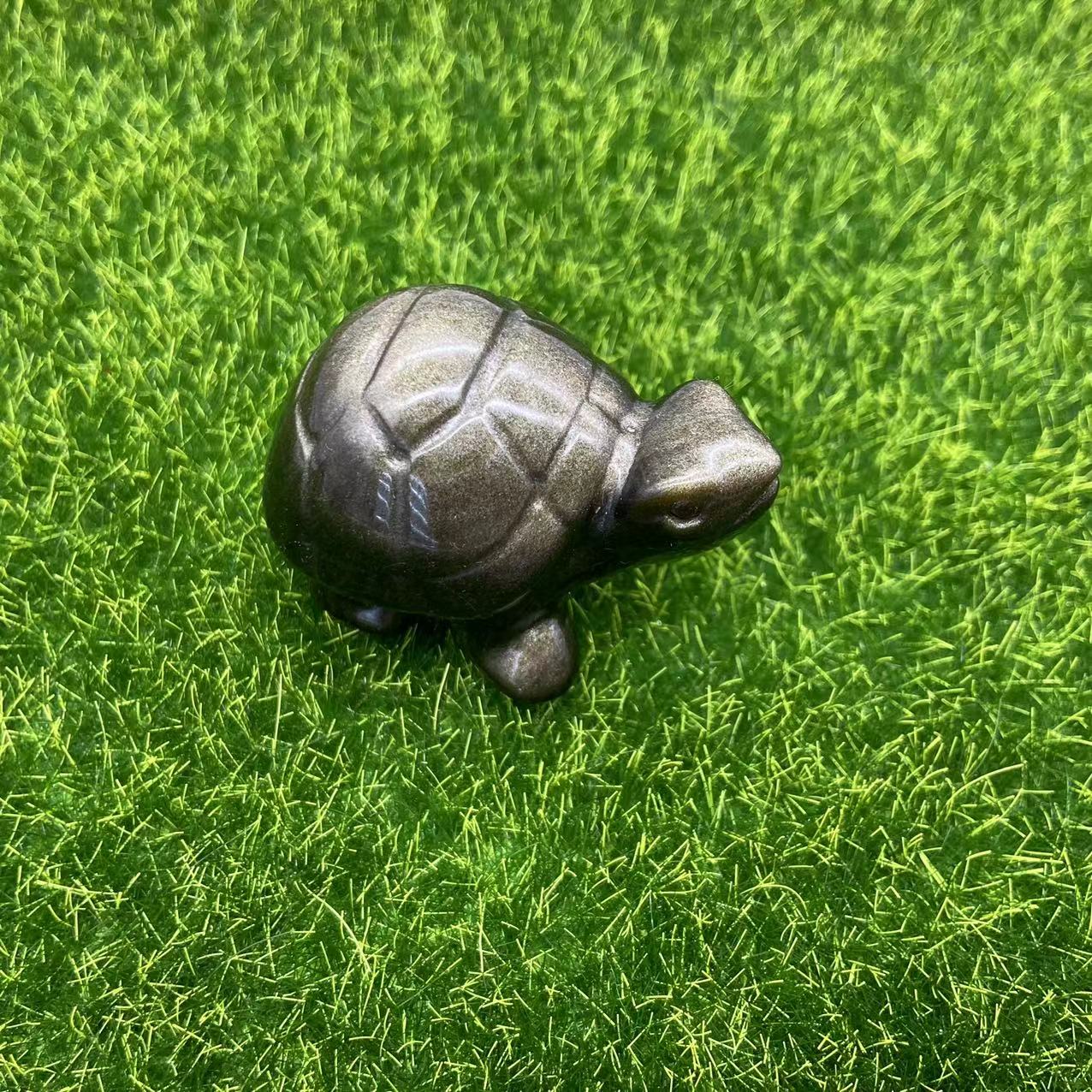 Tortoise