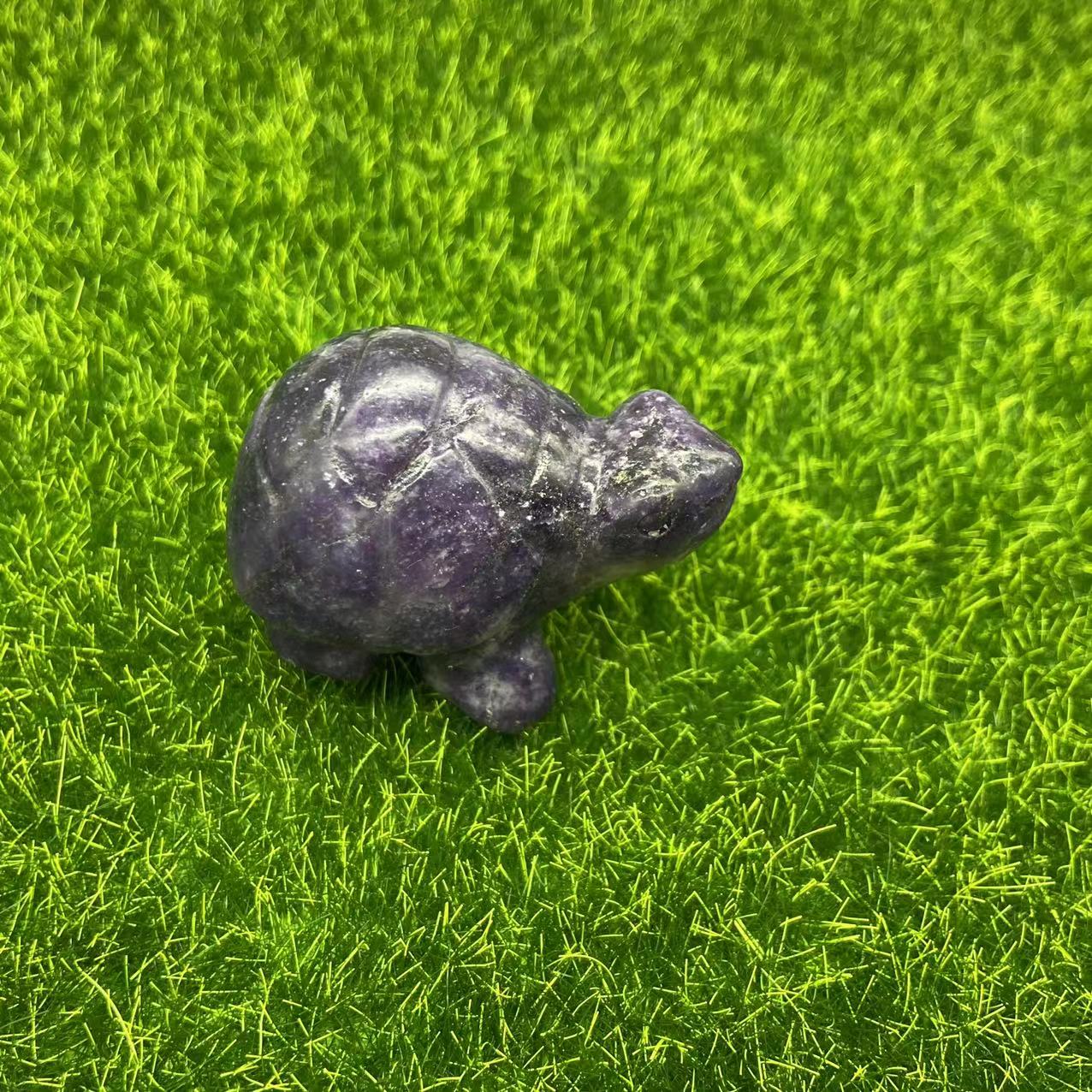 Tortoise