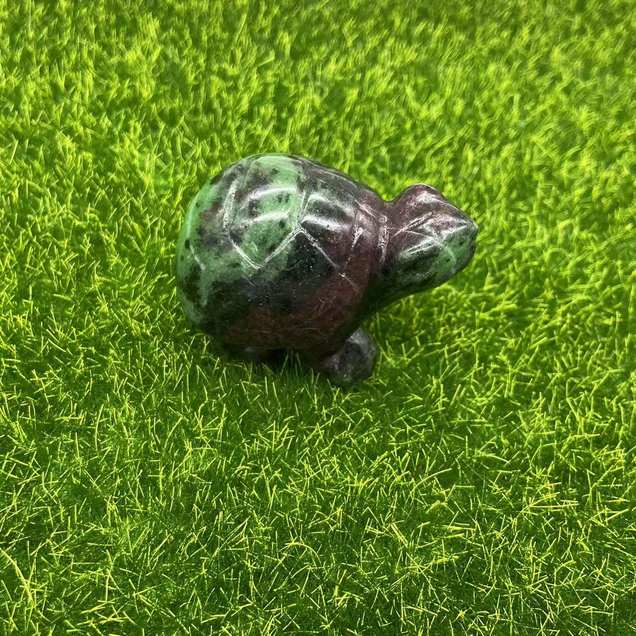 Tortoise