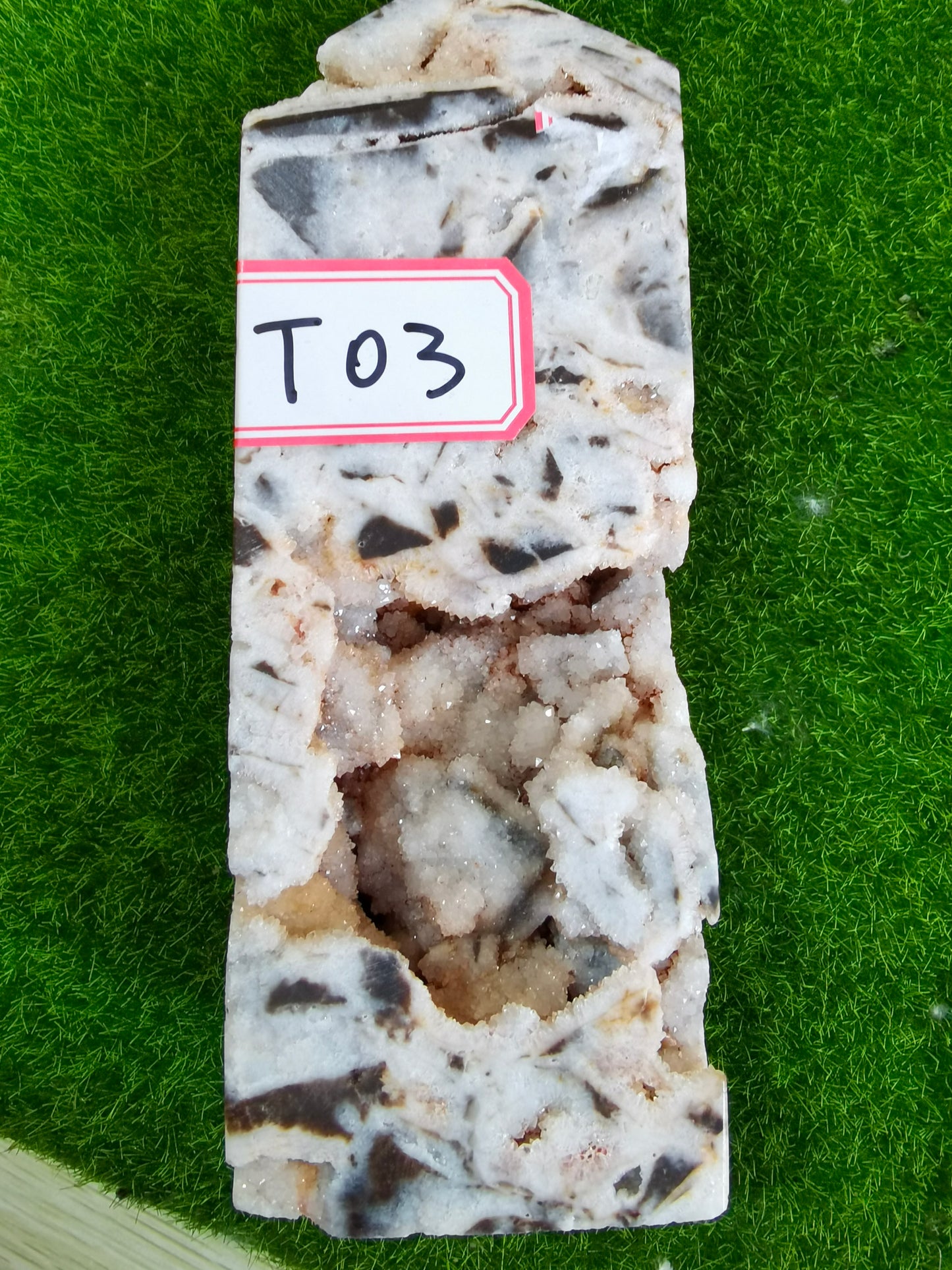 T03