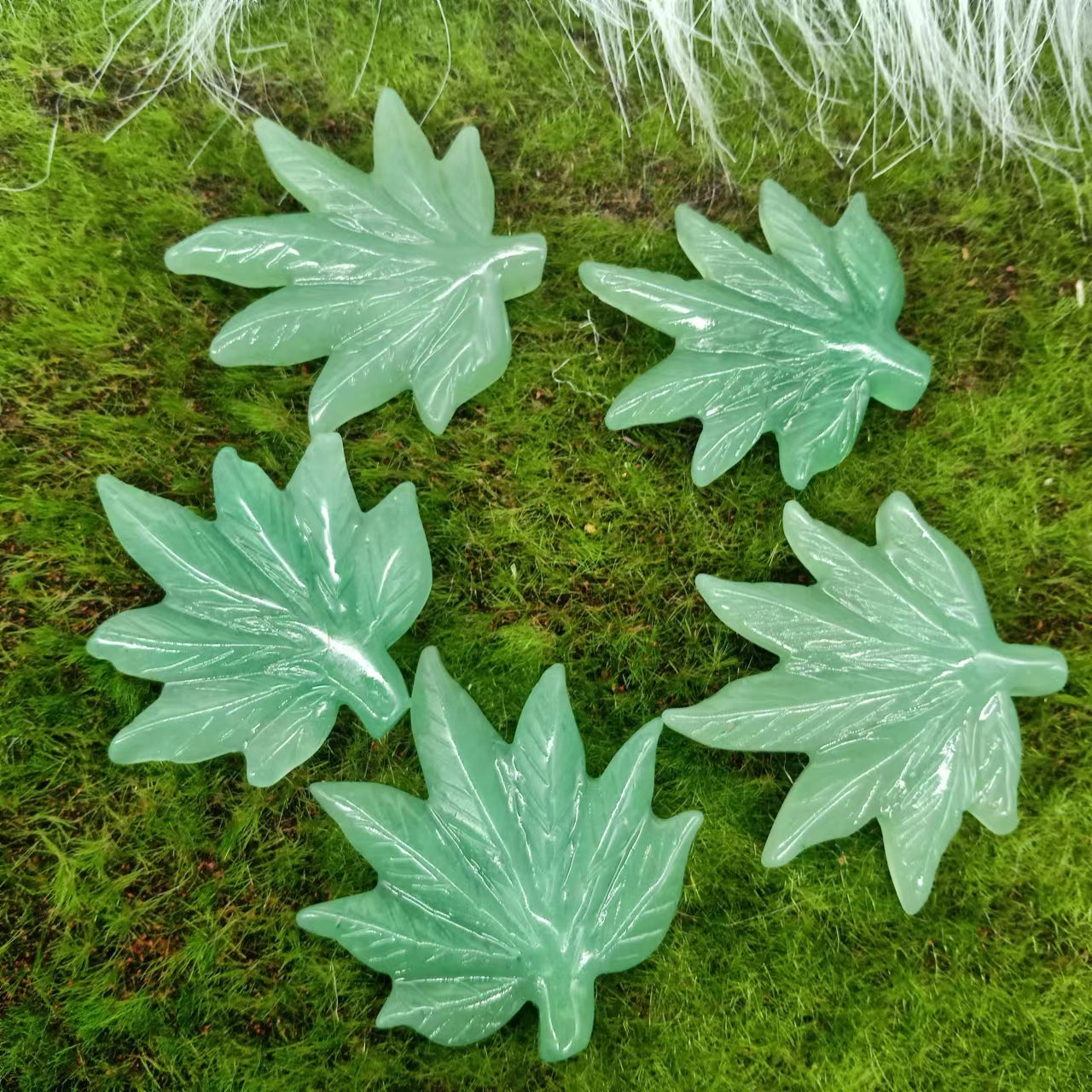 maple leaves