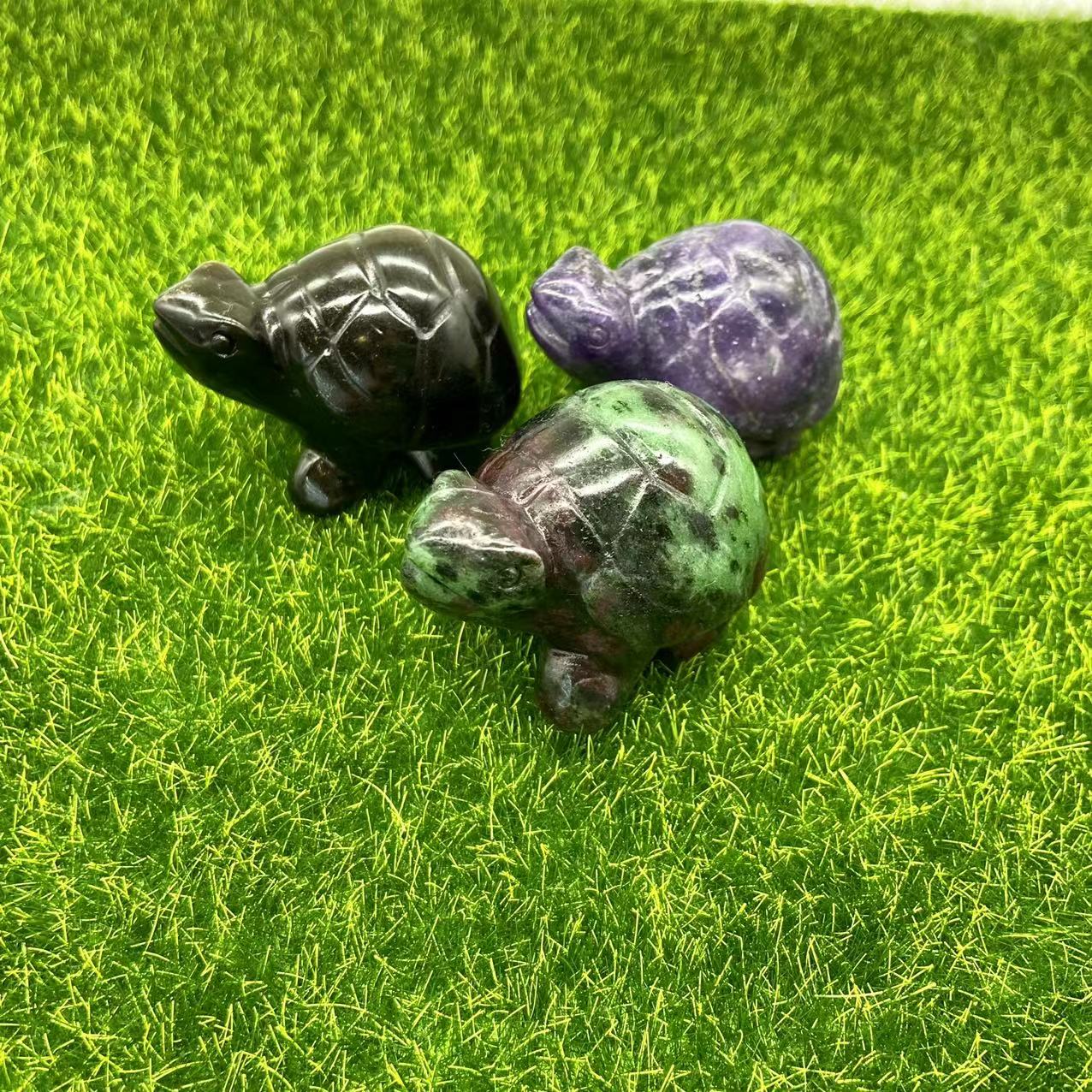 Tortoise