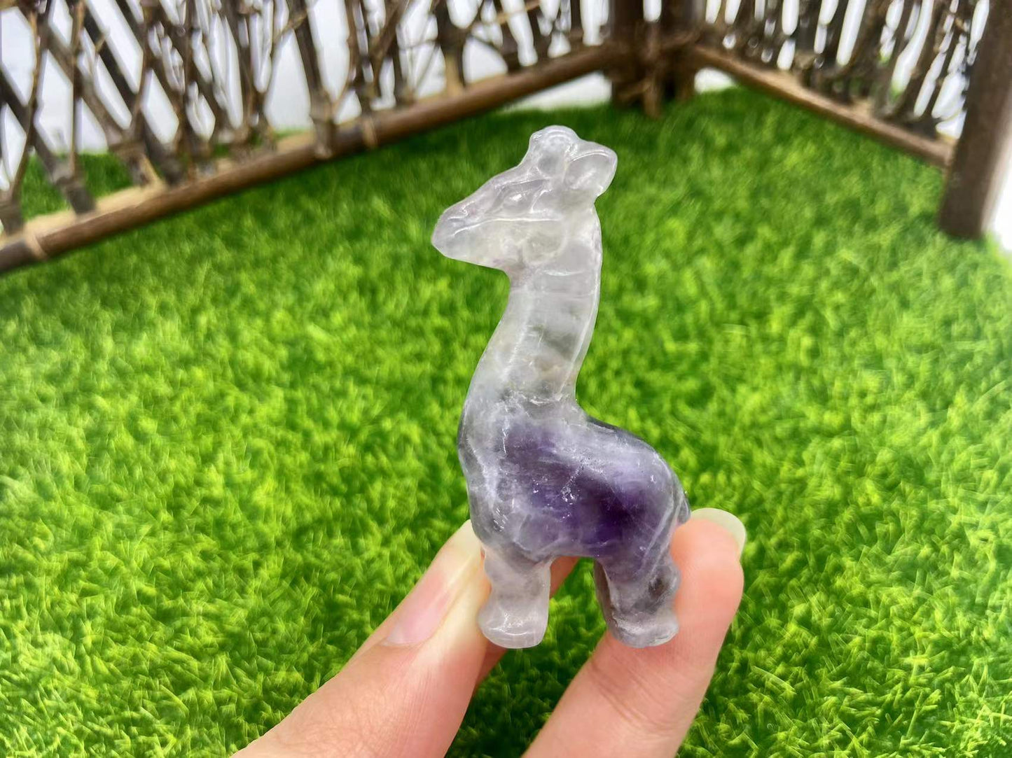 giraffe