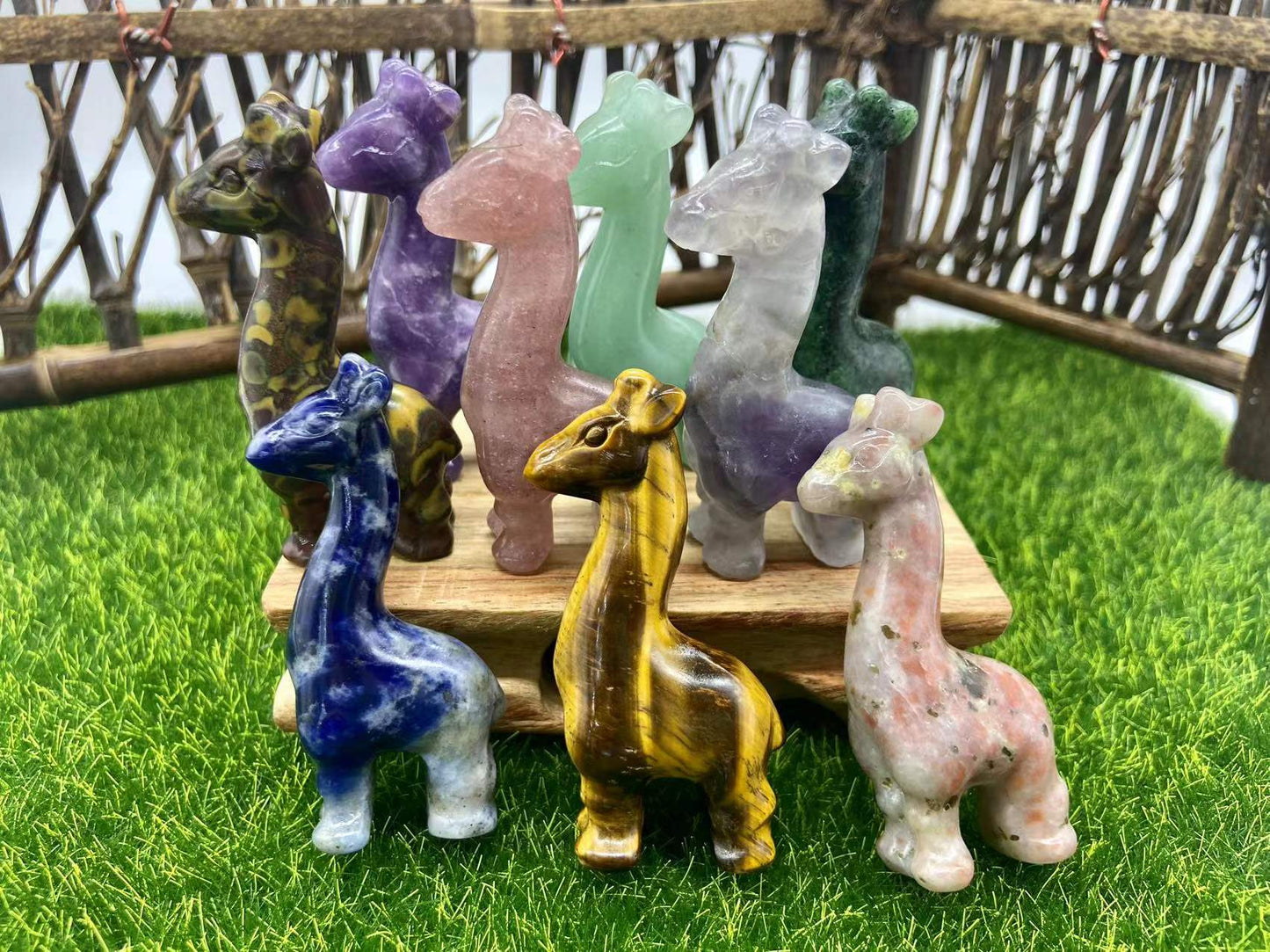 giraffe