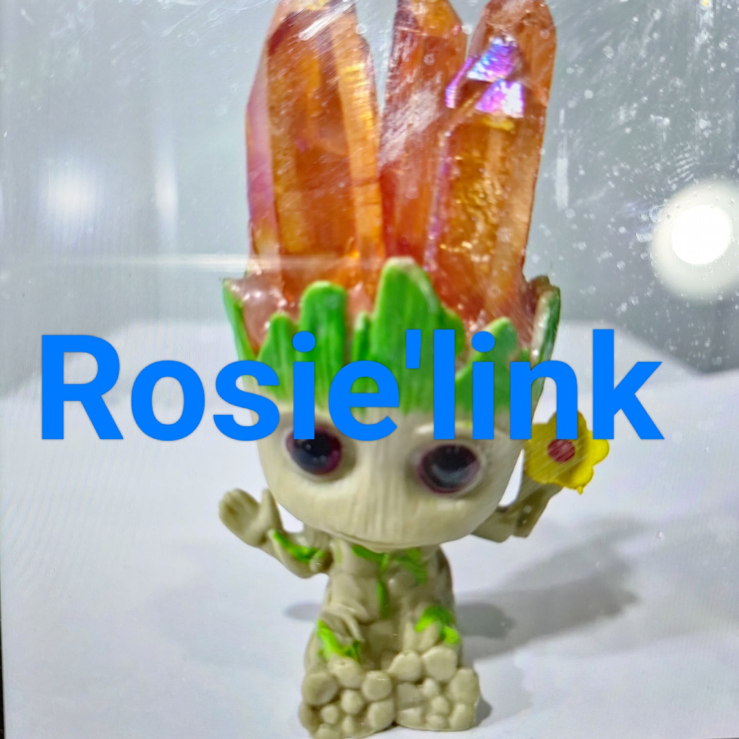Rosie-deposit for rosie
