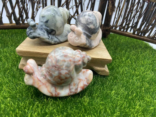 snail